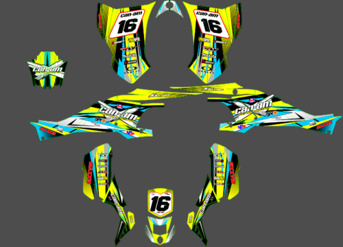 CAN - AM DS 450 (10) Can Am Ds 450 #10