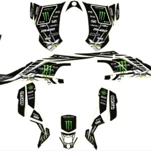 CAN - AM DS 450 (6) Can Am Ds 450 #6