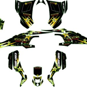 CAN - AM DS 450 (9) Can Am Ds 450 #9