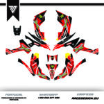 Can Am Renegade #3 - Image 1