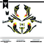 Can Am Renegade #4 - Image 1