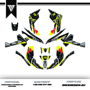 Can-Am Renegade 500 800r 800x 1000 (4) Can Am Renegade #4