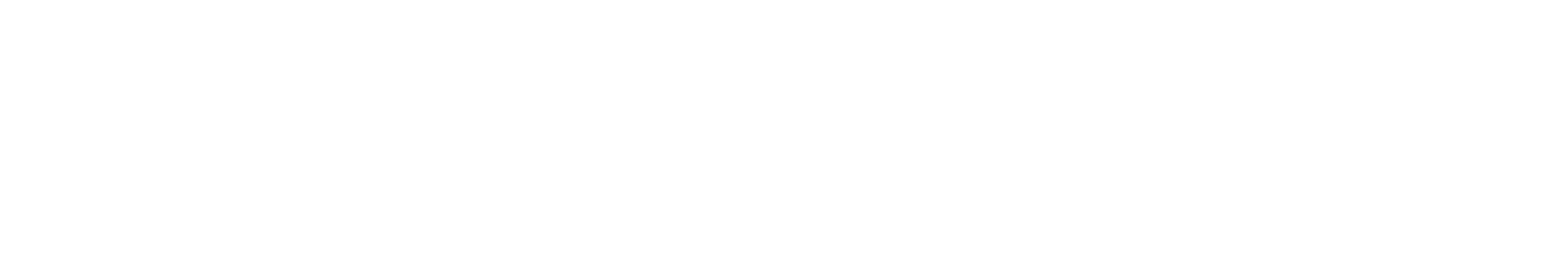 Race Design