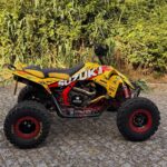 Suzuki Ltr 450 #2 - Image 5